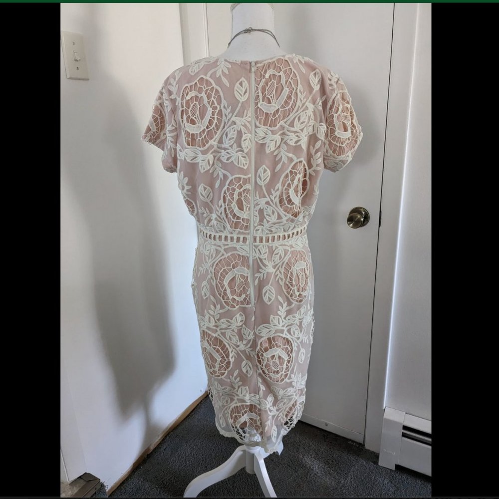 DYT T2 Lullaby Lace dress Downeast L NWT - Picture 4 of 4